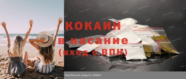 гидра Вяземский