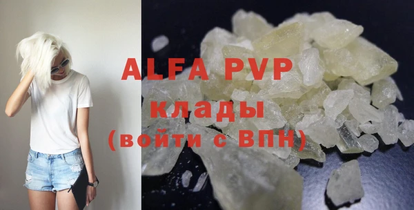 гидра Вяземский
