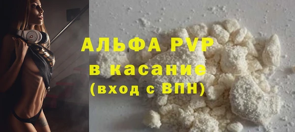 гидра Вяземский