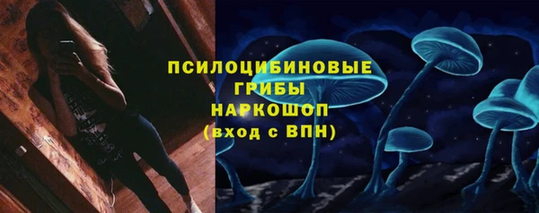 гидра Вяземский