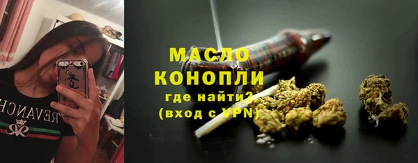 гидра Вяземский