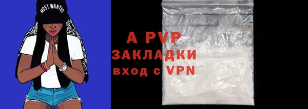 гидра Вяземский