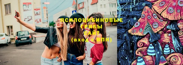 гидра Вяземский
