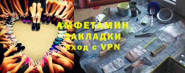 гидра Вяземский