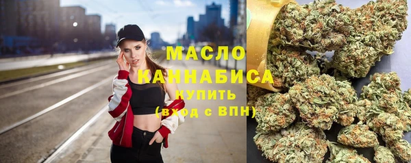 гидра Вяземский