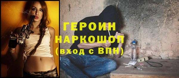 гидра Вяземский
