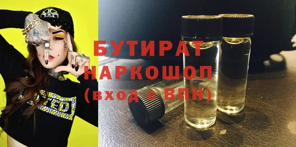 гидра Вяземский