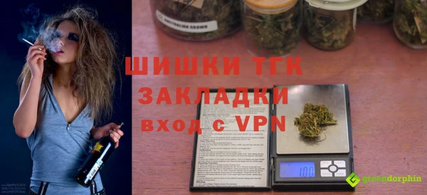 гидра Вяземский