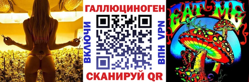 Галлюциногенные грибы MAGIC MUSHROOMS  закладки  Чита 