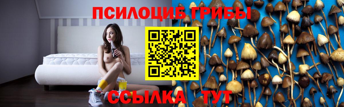 Чита  Псилоцибиновые грибы Psilocybe  Вход с VPN 