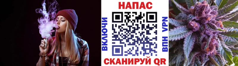 дарнет шоп Чита MEGA ССЫЛКА МАРИХУАНА ГИДРОПОН